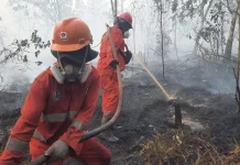 Pemerintah Kerahkan Belasan Ribu Petugas Tangani Karhutla di Kalimantan