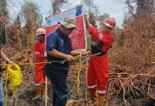 KLH Segel Area Konsesi PT Bintang Harapan Terkait Karhutla