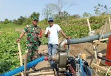 Pemkab Bekasi Kerahkan Puluhan Pompa Air Antisipasi Lahan Pertanian Kekeringan
