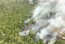 Pemerintah Maksimalkan Operasi Modifikasi Cuaca Atasi Karhutla Kalimantan