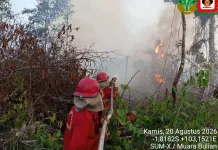 Kemendikdasmen Siapkan Protokol Pembelajaran Darurat Karhutla di Kalimantan
