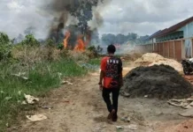 Delapan Daerah di Kalsel Siaga Darurat Karhutla, Tercatat 1.651 Titik