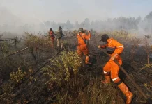 BPBD Kalsel: Delapan kabupaten/kota Siaga Darurat Karhutla hingga Oktober
