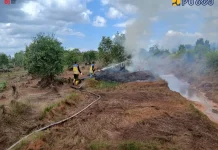 Tiga Hektare Lahan Terdampak Karhutla di Banjar, PU Turut Dukung Penanganan