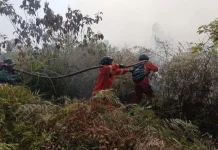 Asap Karhutla Ganggu Aktivitas Nelayan Tradisional di Kalimantan Utara