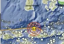 Gempa M 4,8 Kembali Guncang NTT, Berpusat di Timur Laut Ruteng