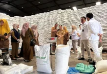 Bapanas Salurkan 1,65 Juta Ton CBP untuk Antisipasi Dampak El Nino