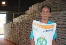 Hadapi El Nino, Pemerintah Andalkan Penyaluran CBP Kendalikan Harga Beras