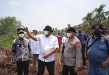Kendalikan Karhutla Riau, KLH Tegaskan Pemegang Konsesi Wajib Mitigasi Titik Api
