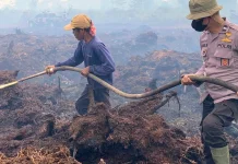 Mengapa Lahan Gambut di Kalimantan Mudah Terbakar? Ini Penjelasannya