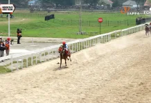 Ratu Banio Juarai Race IV IHR Merdeka Cup 2026