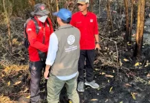 Hotspot Kalimantan Selatan Kembali Naik, Satu Helikopter dari Riau Dikerahkan