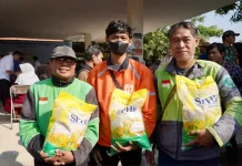 Kucuran Beras Capai 1,65 Juta Ton, Harga Diperkirakan Terkendali
