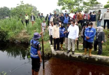 KLH Minta Swasta Bangun Sekat Kanal Atasi Karhutla Gambut Kalimantan Barat