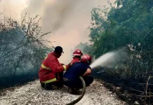 BNPB Minta Negara Tetangga Tak Saling Menyalahkan soal Asap Karhutla