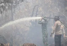 Karhutla Riau Menurun, Penanganan di Kerumutan Diperkuat Lewat Udara