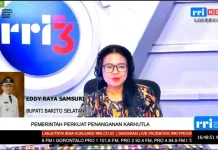 Bupati Barito Selatan Akui Kesulitan Tangani Karhutla karena Berbagai Kendala