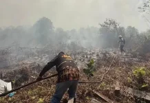 BPBD Kotawaringin Timur Pastikan Jarak Pandang Aman meski Terjadi Karhutla