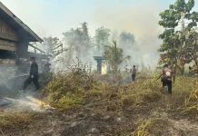 Papua Tengah Tingkatkan Kewaspadaan Karhutla di Kawasan Hutan Lindung