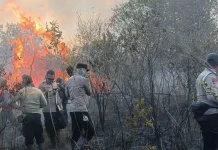 BNPB: Kebakaran Lahan di Bukit Sitalmak Talmak Samosir Berhasil Dipadamkan