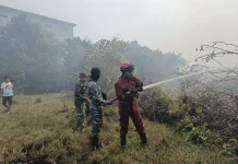 Menteri LH Tinjau Karhutla Kalsel, 72 Tersangka Telah Ditangkap