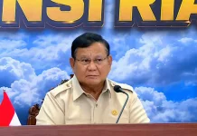 Presiden Apresiasi Penerjun Khusus TNI untuk Tangani Karhutla