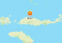 Selasa Pagi Ini, Gempa Bumi Magnitudo 4,1 Guncang Flores