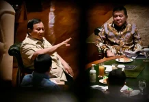 Luncurkan Program PLTS 100GWp, Presiden Prabowo Perkuat Kemandirian Energi