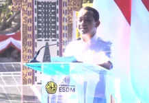 PLTS 100 GWp, Pemerintah Bidik Efisiensi Subsidi dan Jutaan Lapangan Kerja