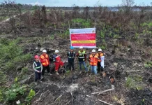 Luas Karhutla Indonesia Capai 202 Ribu Hektare hingga Juli 2026