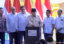 Diresmikan Presiden, Investasi Program PLTS 100 GWp Capai Rp1.140 Triliun