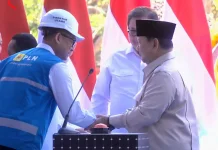 Presiden Resmikan PLTS 100 GWp, Ini Dampaknya untuk Ekonomi Indonesia