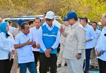 PLTS 100 GWp Ditargetkan Rampung Tiga Tahun, Presiden Minta Tim Bekerja Cepat