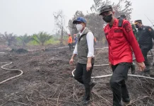 Cek Karhutla Gambut di Jambi, Menhut: Kelalaian Kecil Bisa Berdampak Luas