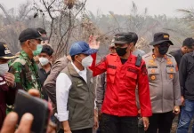 Kementerian Kehutanan Perkuat Pengendalian Karhutla di Jambi