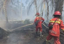 Polda Jambi Turunkan Ratusan Personel Bantu Tangani Karhutla