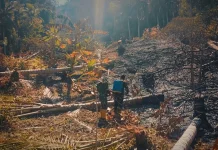 Pakar Soroti Peran Manusia dalam Pencegahan Karhutla