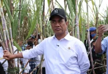 Mentan Amran Percepat Peremajaan dan Perluasan Tebu untuk Kejar Swasembada Gula