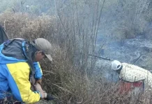 Jalur Pendakian Gunung Semeru Ditutup Total akibat Kebakaran Hutan