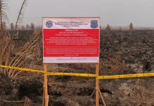 KLH Segel Lahan 1.500 Hektare di Kalimantan Barat