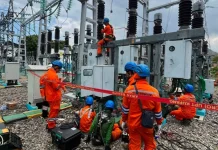 PLN Pastikan Infrastruktur Listrik Flores Aman Pascagempa M7,7 NTT