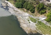 KLH Segel Outfall PT Mega Surya Eratama di Sungai Porong