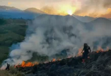 Kemenkes Perkuat Bantuan Logistik untuk Hadapi Dampak Karhutla di 7 Provinsi