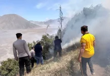 Muzani Nilai Pemerintah Serius Tangani Karhutla
