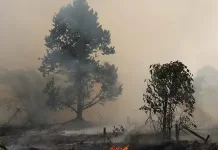 Kasus Pneumonia di Pontianak Naik 20 Persen imbas Kabut Asap Karhutla