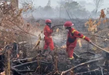 Kemendikdasmen Terbitkan SE Pembelajaran Sekolah Terdampak Asap Karhutla