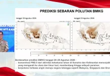 BNPB: Prediksi Sebaran Polutan Karhutla Terlihat Semakin Jelas
