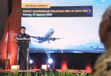Kemenhub Perkuat Akses Penerbangan Papua dengan Utamakan Keselamatan