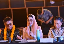 Komisi VII DPR Soroti Kesenjangan Akses Modal UMKM Ekraf di Bali