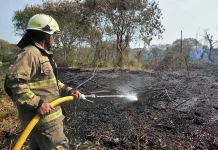 Kemenhut Siaga Hadapi Lonjakan Titik Panas Karhutla